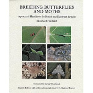 BREEDING BUTTERFLIES AND MOTHS