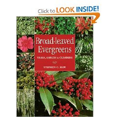 BROAD-LEAVED EVERGREENS.