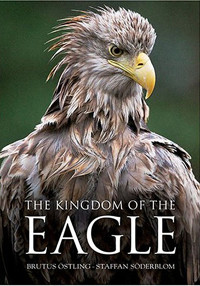 KINGDOM OF THE EAGLE