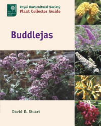 BUDDLEJAS