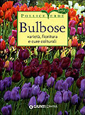 BULBOSE