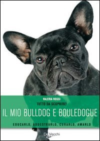 MIO BULLDOG E BOULEDOGUE