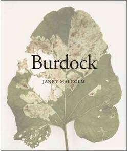 BURDOCK