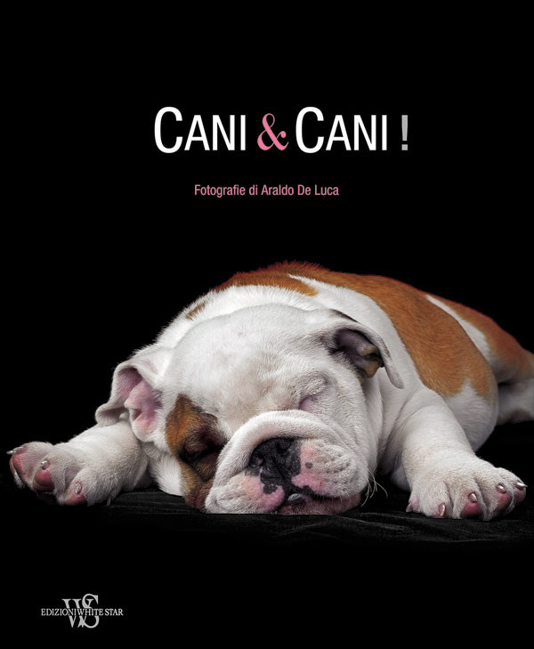 CANI E CANI