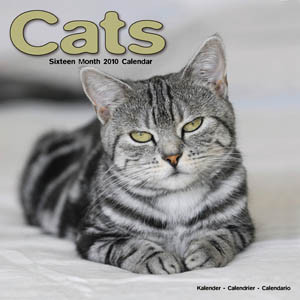 CATS 2010