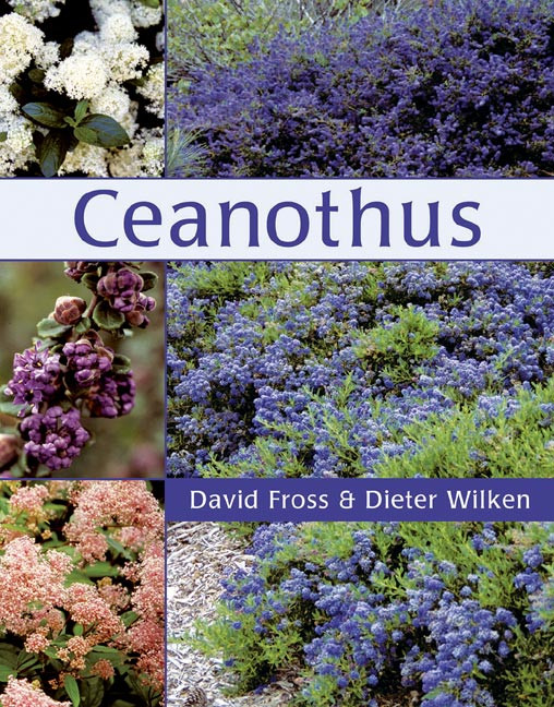 CEANOTHUS