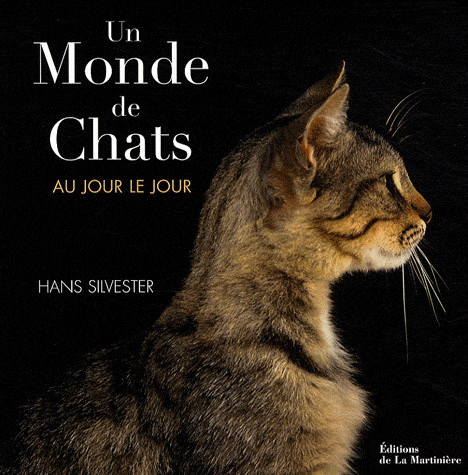 UN MONDE DE CHATS