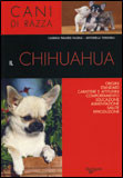 IL CHIHUAHUA