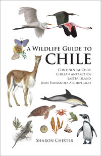 WILDLIFE GUIDE TO CHILE