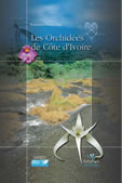 ORCHIDEES DE COTE D IVOIRE