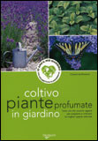 COLTIVO PIANTE PROFUMATE IN GIARDINO