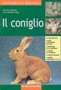 CONIGLIO