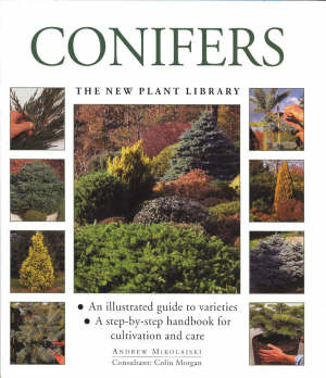 CONIFERS