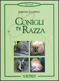 CONIGLI DI RAZZA