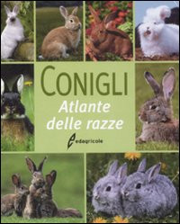 CONIGLI