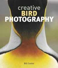 CREATIVE BIRD PHOTOGRAPHY
