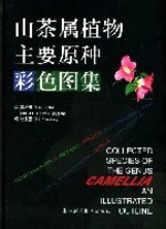 COLLECTED SPECIES OF THE GENUS CAMELLIA