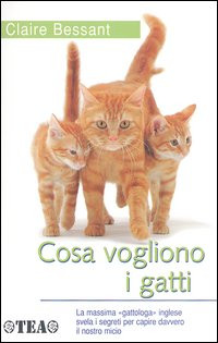 COSA VOGLIONO I GATTI