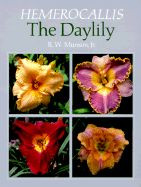 HEMEROCALLIS