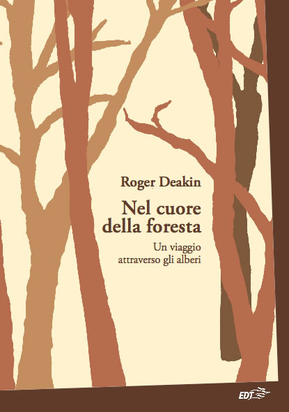 NEL CUORE DELLA FORESTA