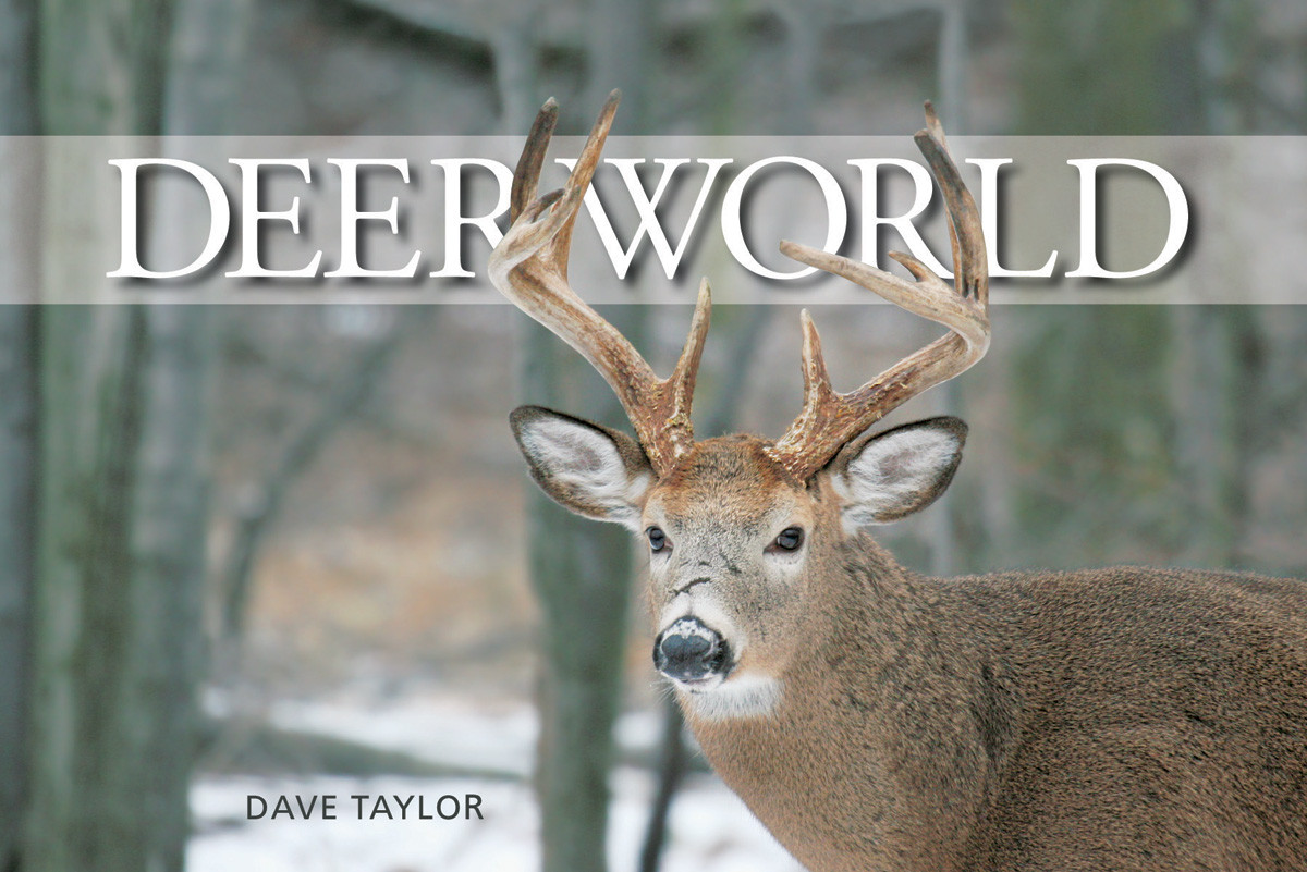 DEER WORLD