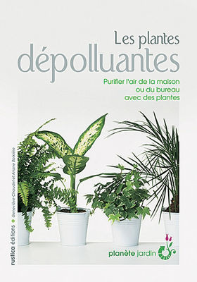 PLANTES DEPOLLUANTES