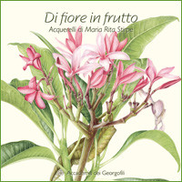 DI FIORE IN FRUTTO
