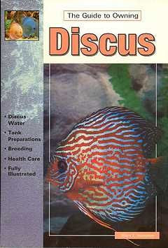 DISCUS KEEPING & BREEDING THEM IN CAPTIV