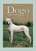 DOGO ARGENTINO