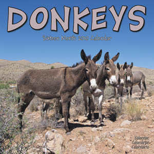 DONKEYS 2010