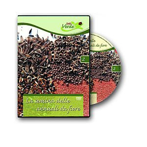 SEMINA DELLE ANNUALI DA FIORE