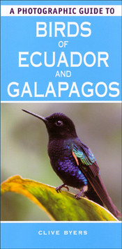 BIRDS OF ECUADOR AND GALAPAGOS