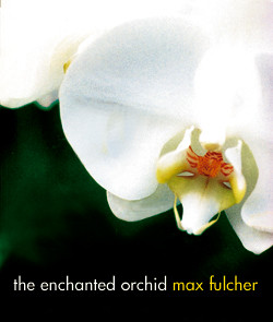 ENCHANTED ORCHID