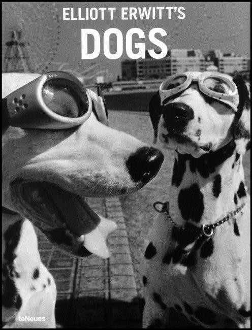 DOGS