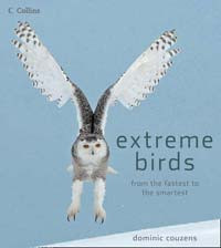 EXTREME BIRDS