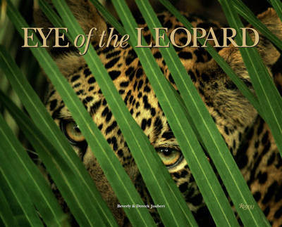 EYE OF THE LEOPARD