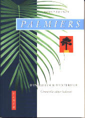 PALMIERS D INTERIEUR & D EXTERIEUR.