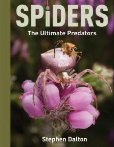 SPIDERS THE ULTIMATE PREDATORS