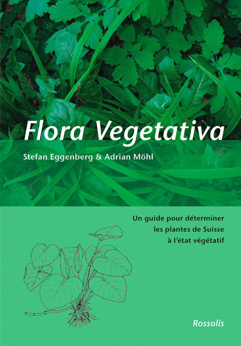 FLORA VEGETATIVA