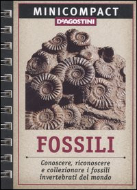 FOSSILI MINICOMPACT