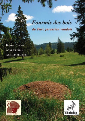 FOURMIS DES BOIS