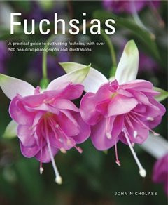 FUCHSIAS