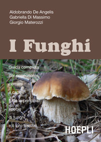 FUNGHI