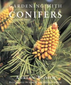 GARDENING WITH CONIFERS