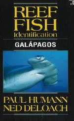 REEF FISH IDETIFICATION GALAPAGOS