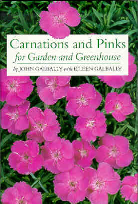 CARNATIONS AND PINKS