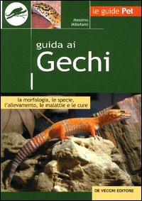 GUIDA AI GECHI