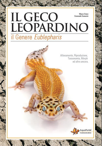 IL GECO LEOPARDINO