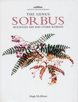 GENUS SORBUS