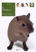 GERBILLO